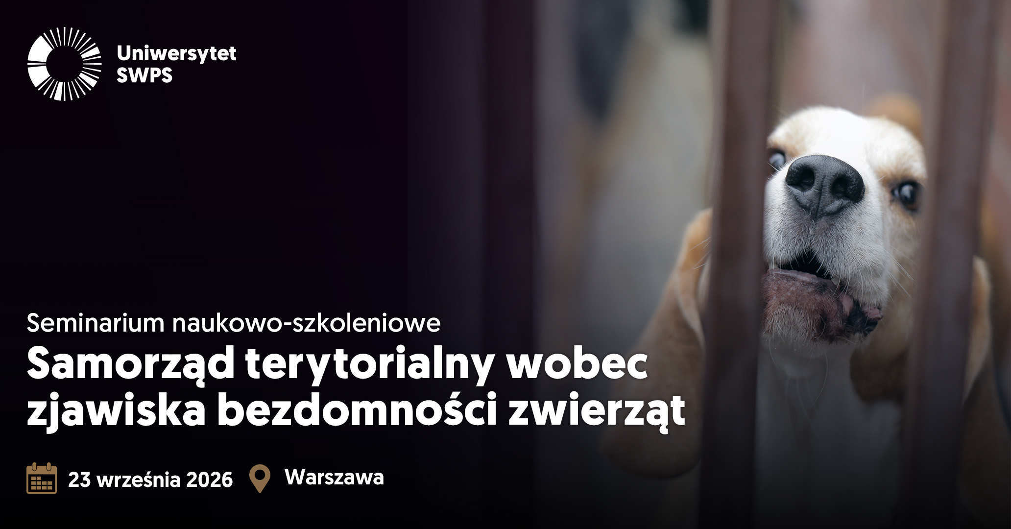 bezdomnosczwierzat_1,91x1 (1).jpg